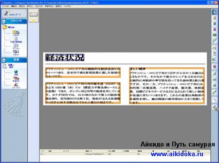 ReadiRis Pro - программа распознавания японского текста