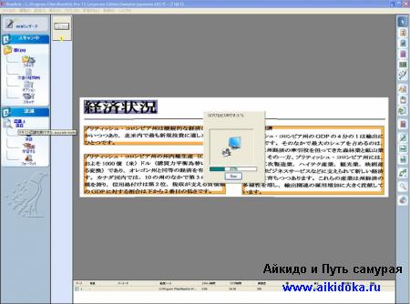 ReadiRis Pro - программа распознавания японского текста