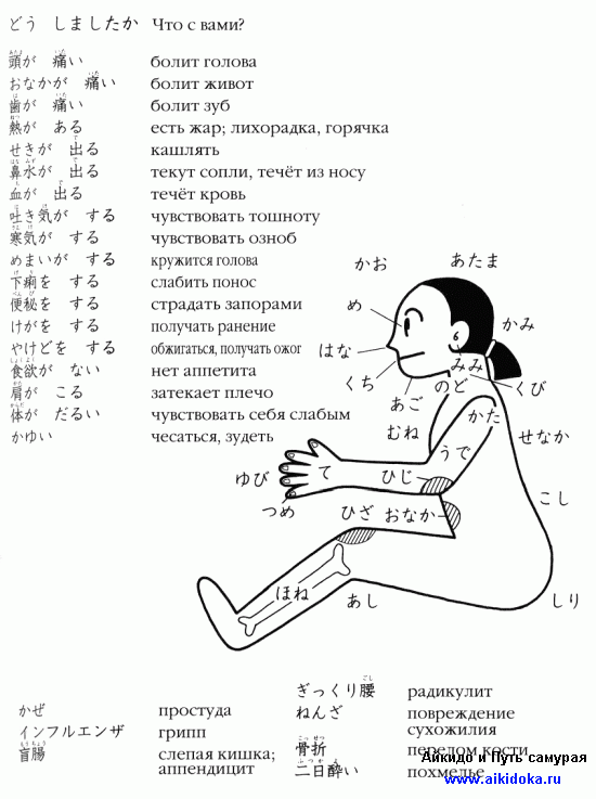 Онлайн японский язык. Урок 17 (13) - Справочная информация