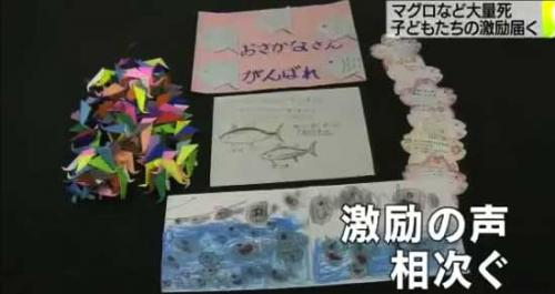 Письма поддержки и оригами в надежде предотвращения гибели голубого тунца